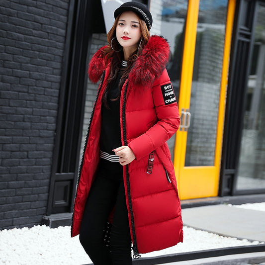 Long cotton jacket hooded big fur collar down jacket - Classic chic